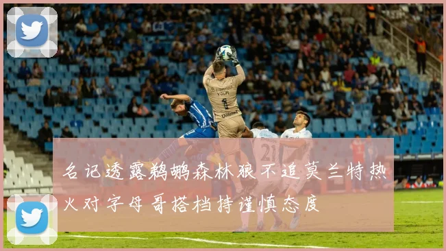 名记透露鹈鹕森林狼不追莫兰特热火对字母哥搭档持谨慎态度